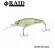 025 Natural Shad 